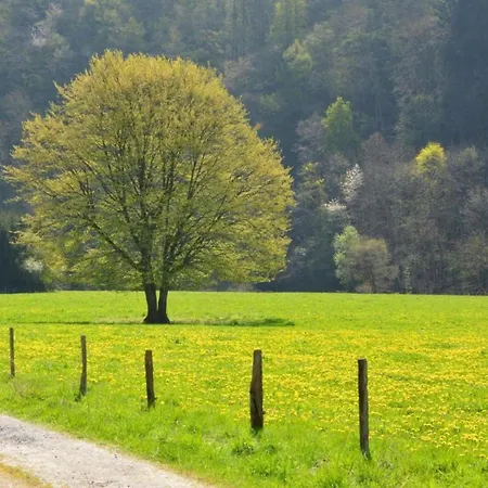 With Sauna Шале *